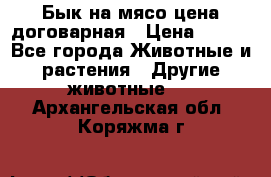 Бык на мясо цена договарная › Цена ­ 300 - Все города Животные и растения » Другие животные   . Архангельская обл.,Коряжма г.